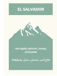 El salvador